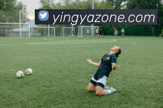 英亚官网平台平台生态图