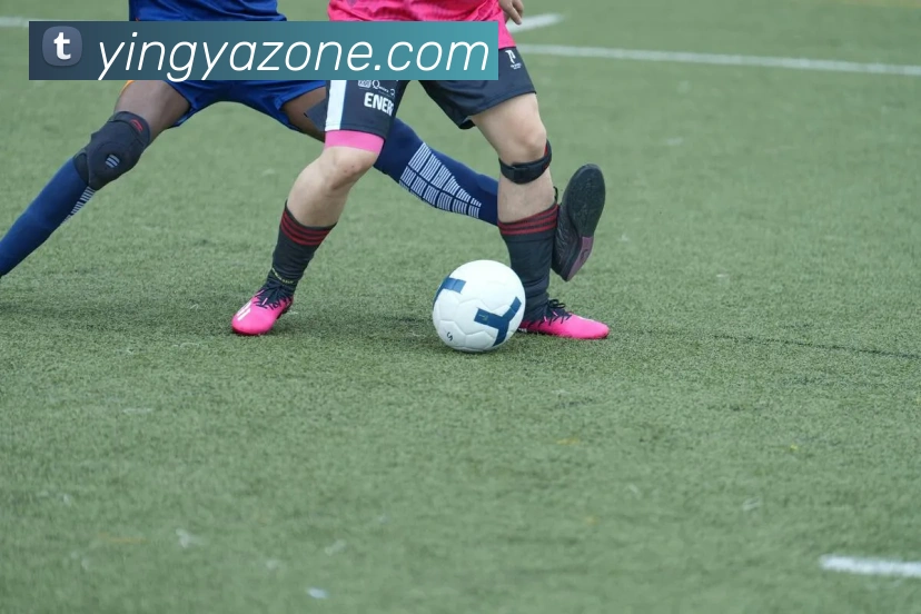 英亚官网平台APP 封面图